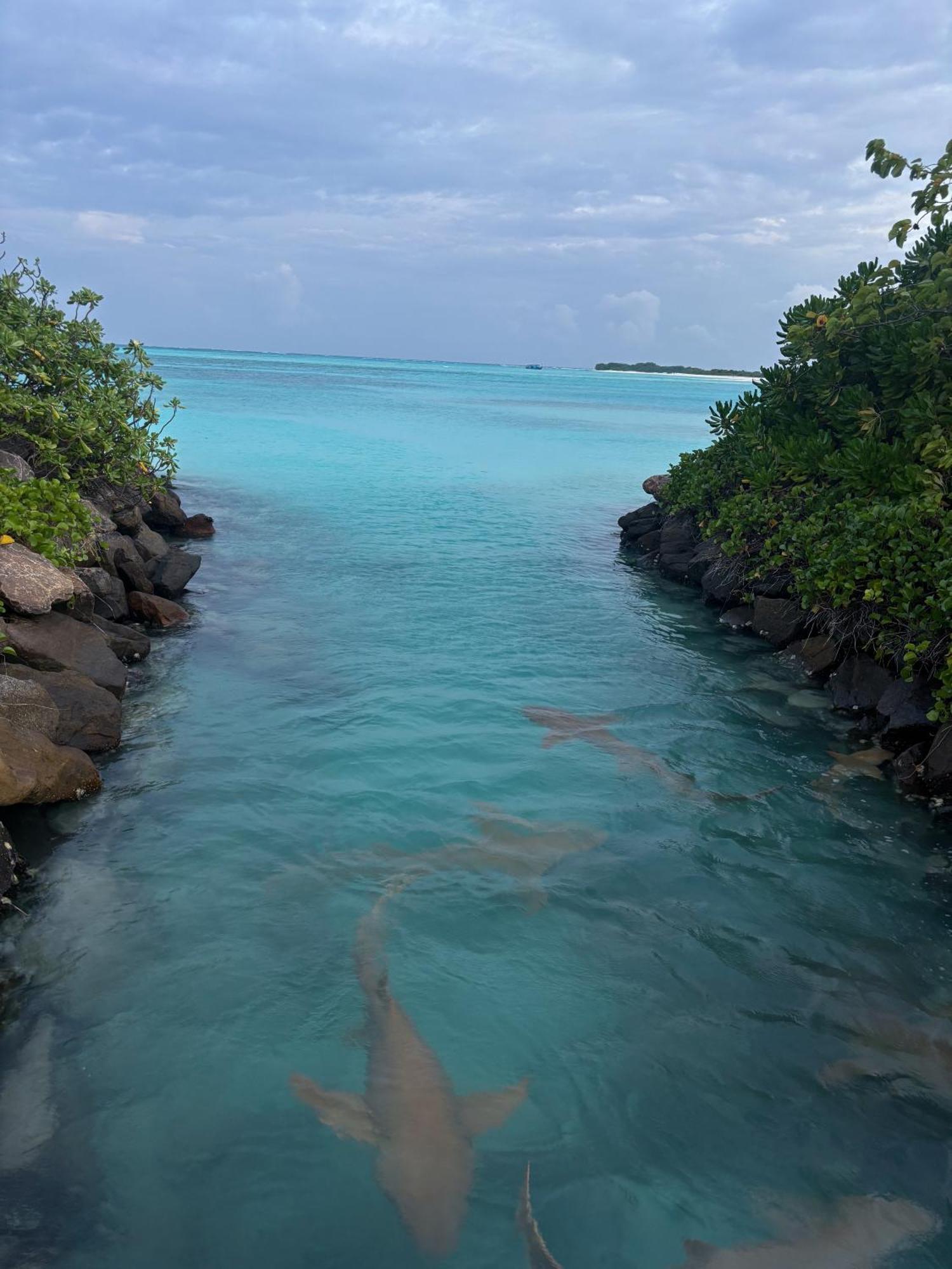 Mathiveri Thundi Inn Bagian luar foto